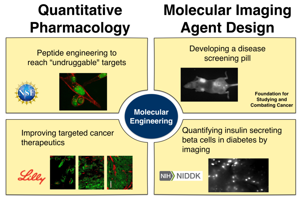 Molecular Engineering(Quantitative Pharmacology, Molecular Imaging Agent Design)